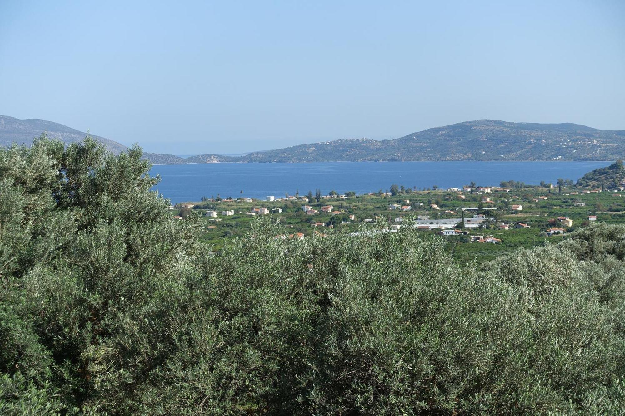 Studio In Villa In Kalloni Direkt Am Meer Zewnętrze zdjęcie